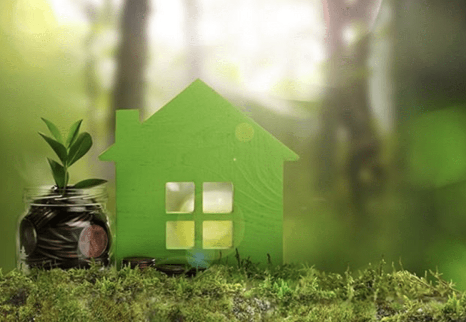 Are There Any Eco-Friendly Insulation Options?